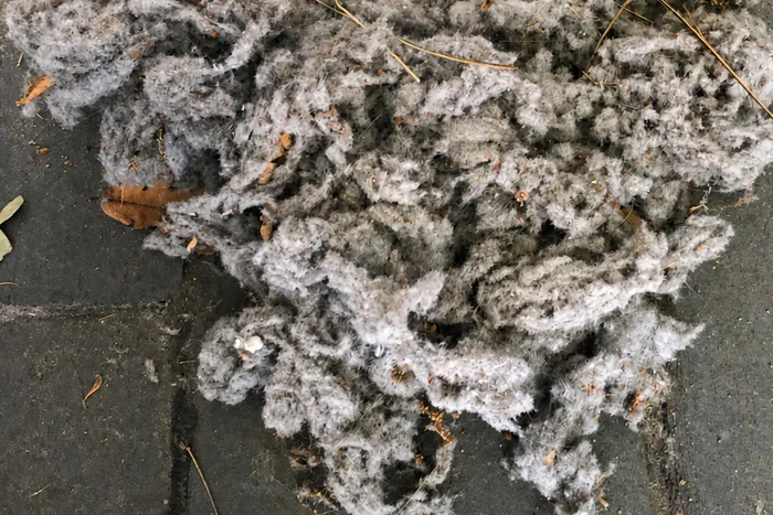 A dense felted clump of grey lint the size of a bread loaf, pulled from one duct